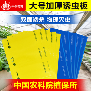 黄板蓝板粘虫板诱虫板大棚蓟马蚜虫纸贴飞虫果园花园沾果蝇诱捕器