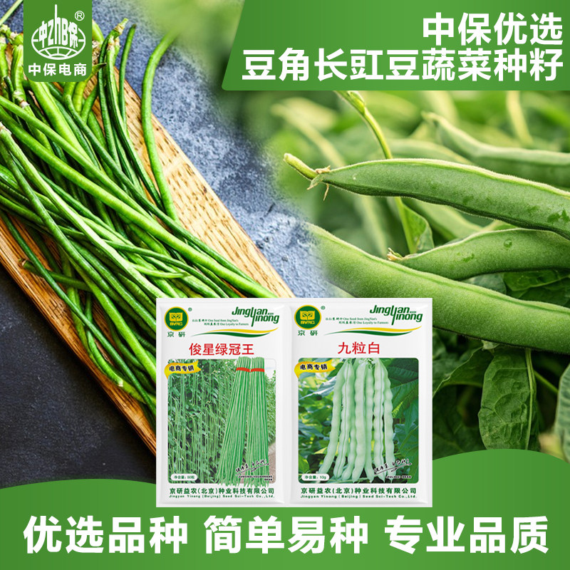 农科院豆角种子长豇豆白不老无筋豆架豆四季豆农科院易种蔬菜种籽