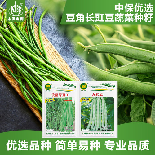 农科院豆角种子长豇豆白不老无筋豆架豆四季豆农科院易种蔬菜种籽
