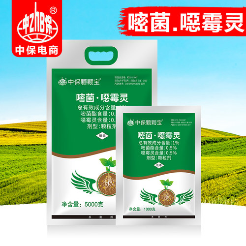 1%恶霉灵草坪黑痣病嘧菌酯