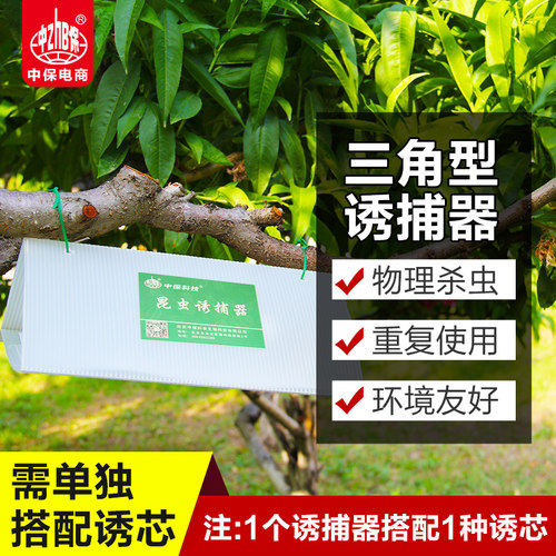 三角形诱捕器 配置诱芯信息素搭配诱芯小菜蛾桃小食心虫补充板