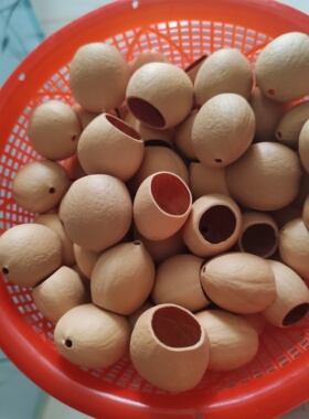 凤凰蛋果壳铁树果壳diy风铃手工材料包制作摇铃挂件包饰摆件果壳