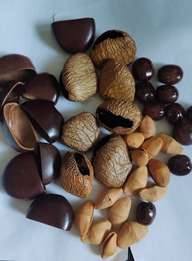 果壳风铃diy材料包手工制作音束手摇铃挂件印尼黑果果壳自制包挂