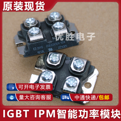 模块DSEI2X101-12AAPT2X101DQ