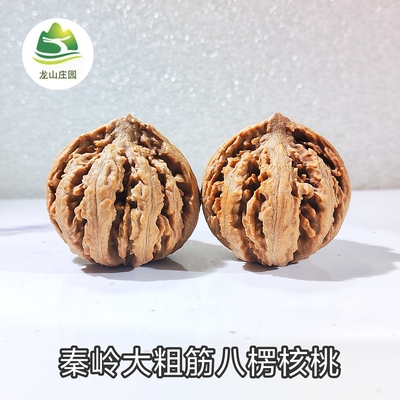 秦岭野生大粗筋楸子手捻文玩核桃楸子野生秋子解压玩具