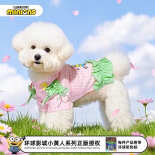 minions小黄人|狗狗春夏撞色衬衫薄款小型犬博美雪纳瑞猫咪衣服