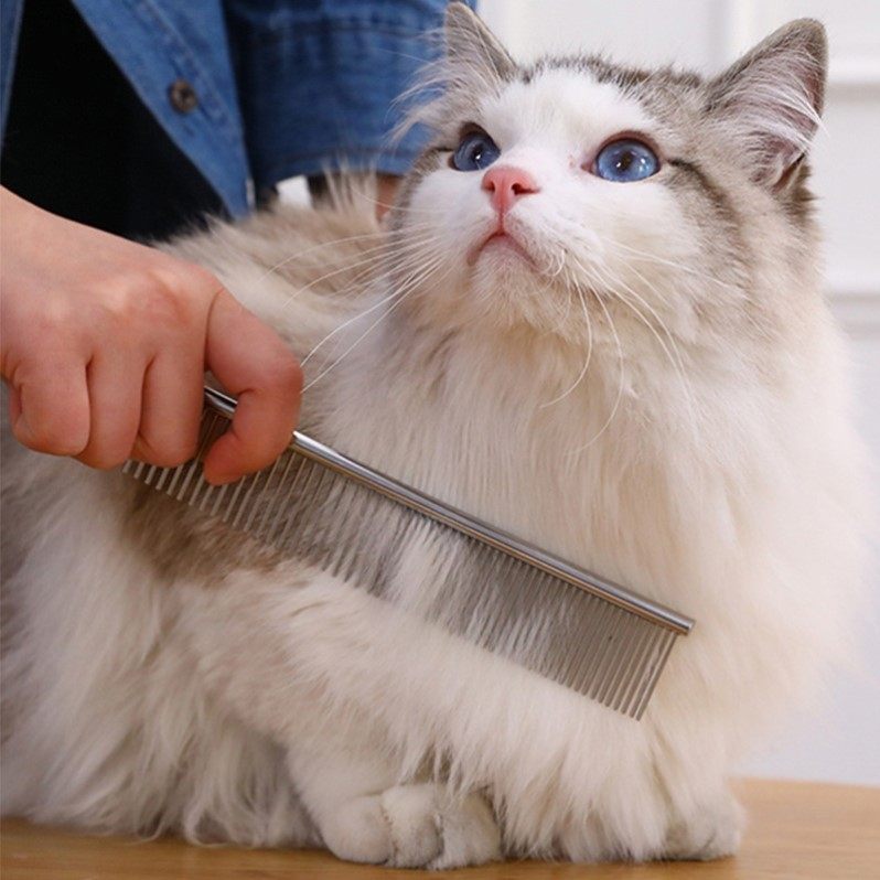 宠物用品  狗梳子 镀铬排梳 开结梳金毛雪纳瑞宠物排梳脱毛,宠物/宠物食品及用品,更多日用品,淘宝优惠券,粉丝福利购,淘宝优惠卷