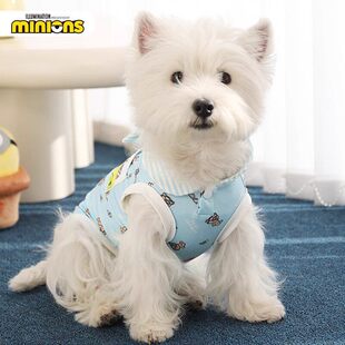 minions小黄人|满印凉凉衣防掉毛宠物小猫小狗衣服猫咪狗狗衣服
