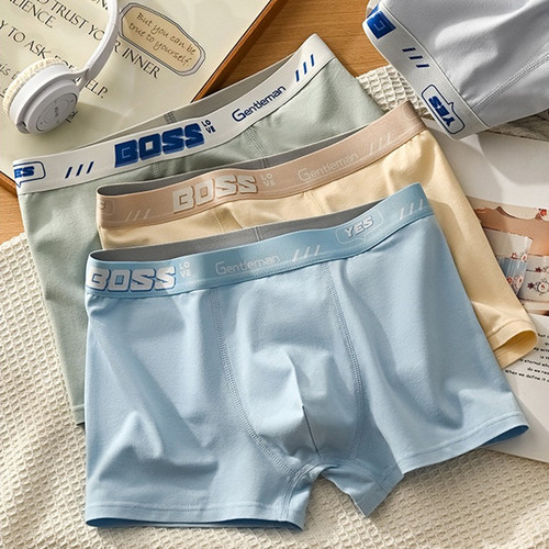 青少年小学初中男生男士纯棉内裤