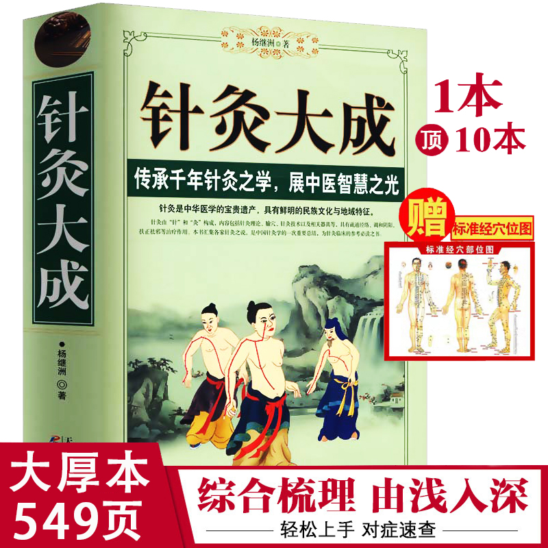 针灸大成中医养生书籍