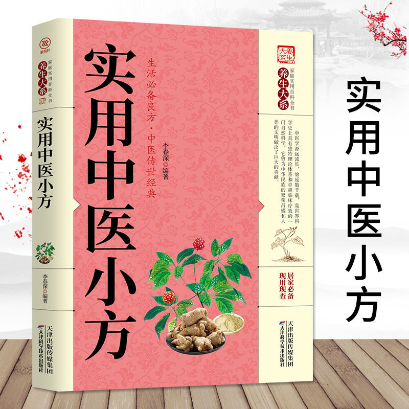 正版 实用中医小方 生活备良方 实用的小偏方大全 秘方常见病小方偏方治大病 中华实用方剂大典养生保健 中医传世经典YS