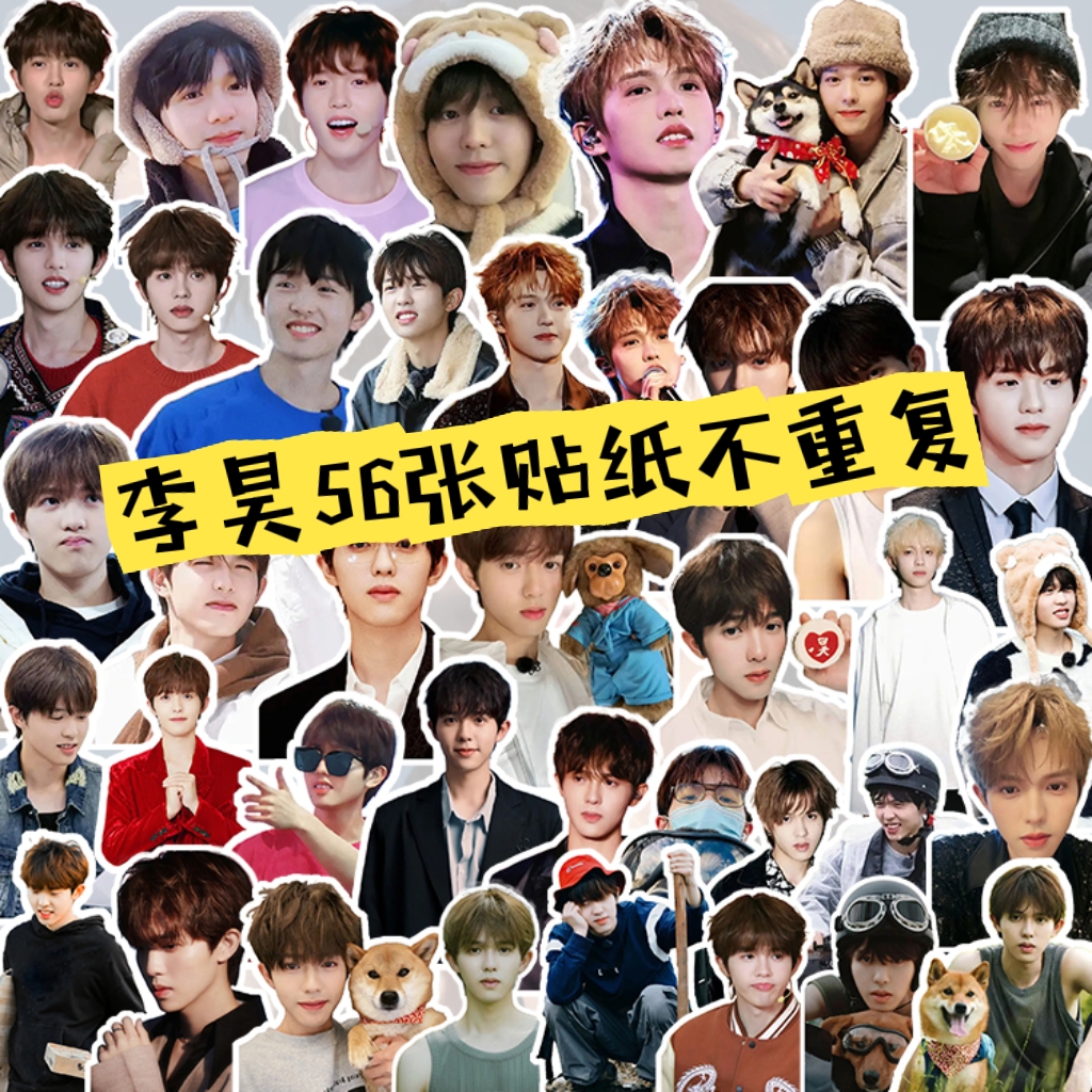 李昊周边手帐贴纸笔记文具日记盒笔筒照片装饰异形贴画素材礼物