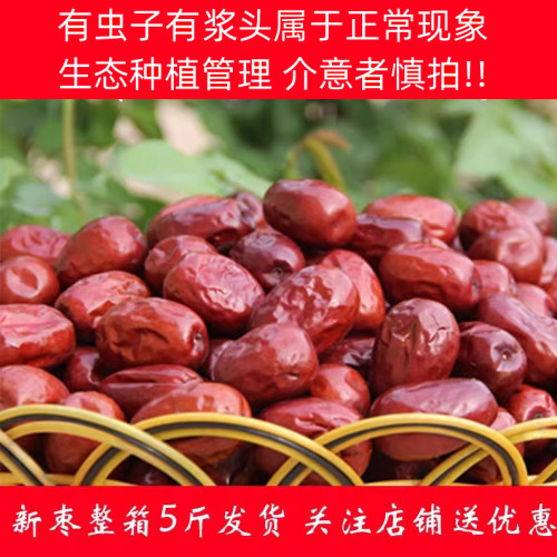 河北特产新鲜大枣散装若羌红枣