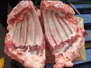 生鲜冷冻猪前排 猪肋排无颈前排多肉猪前排20斤一件 猪排骨