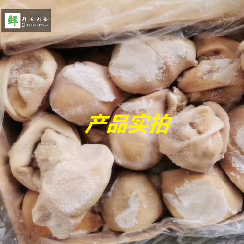 羊肚冷冻新鲜羔羊肚羊肚子羊净肚20斤一箱羊肚包脑食材 近可包邮