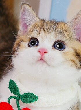 家养猫中华田园猫狸花猫活体纯黑猫白猫三花猫小可爱幼猫捕鼠猫