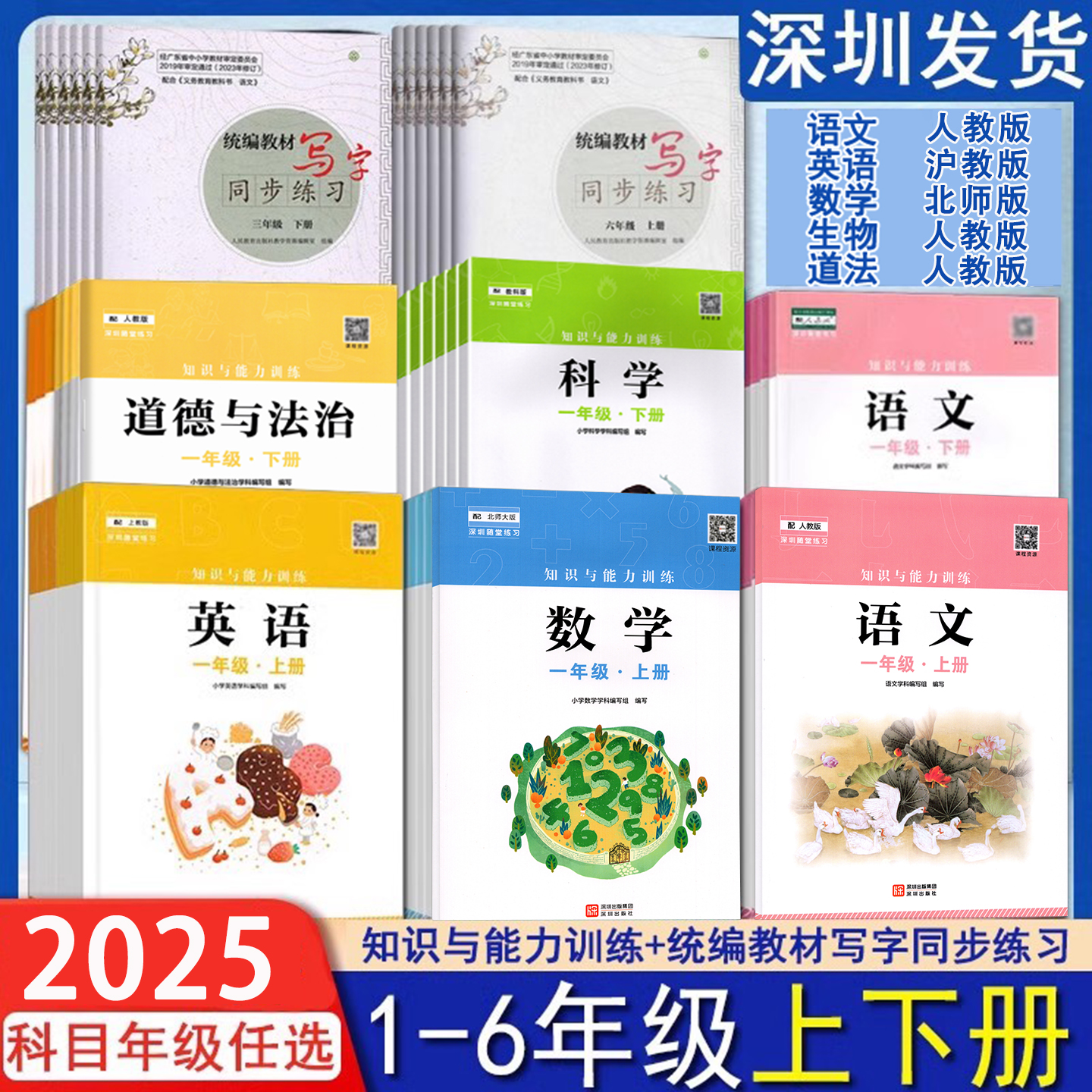 知识与能力训练小学语文写字