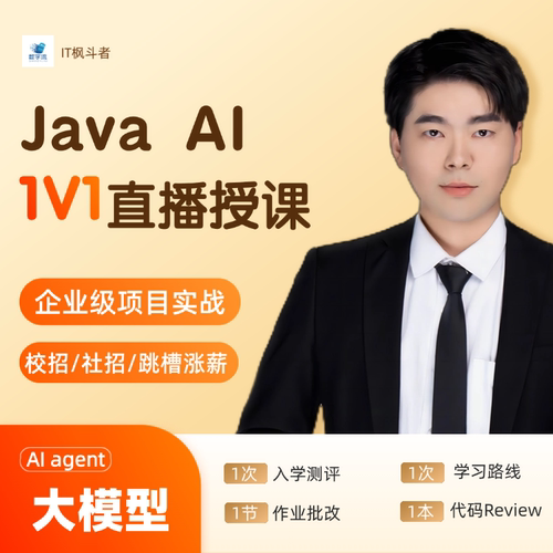 Java+AI项目实战与 AI Agent应用开发项目实战AI agent企业级开发