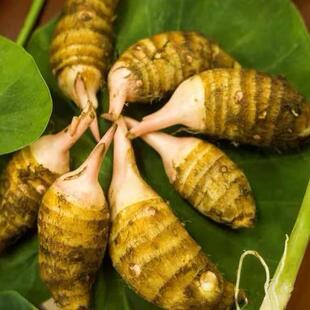江西特产王桥花果芋新鲜现挖芋头农家包邮顺滑粉糯芋艿精品5斤装