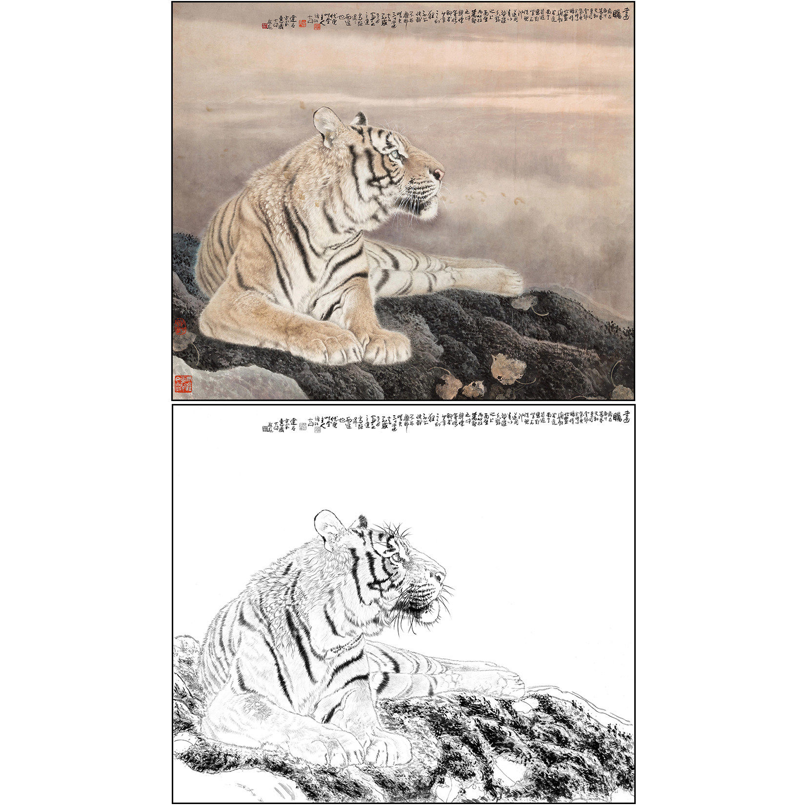 老虎工笔画白描底稿冯大中《远瞩》动物临摹实物白纸打印线稿DZ12