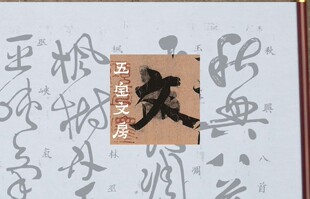 怀素草书秋兴八首水写布毛笔书法清水练习描红仿宣纸免墨祝允明书