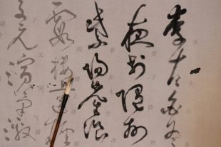 张旭狂草 李青莲序水写布帖 毛笔书法练字描红清水书写万次练习