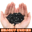 黑色钉鞋 小号 鞋 钉修木板小钉圆头臭皮钉秋皮迷你铁钉木工钉子补鞋