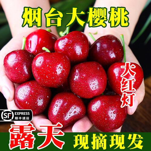 露天红灯软糯酸甜山东烟台大樱桃车厘子新鲜水果现摘口