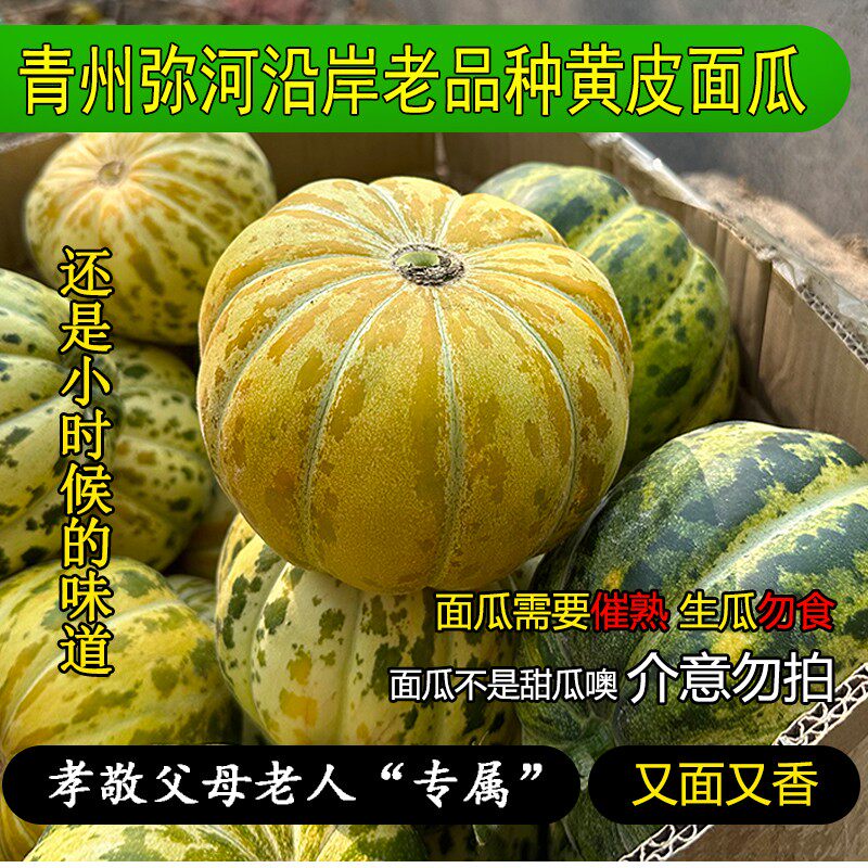 山东老面瓜花皮面瓜香瓜黑皮面瓜黄皮面瓜水果新鲜水果老式面微甜