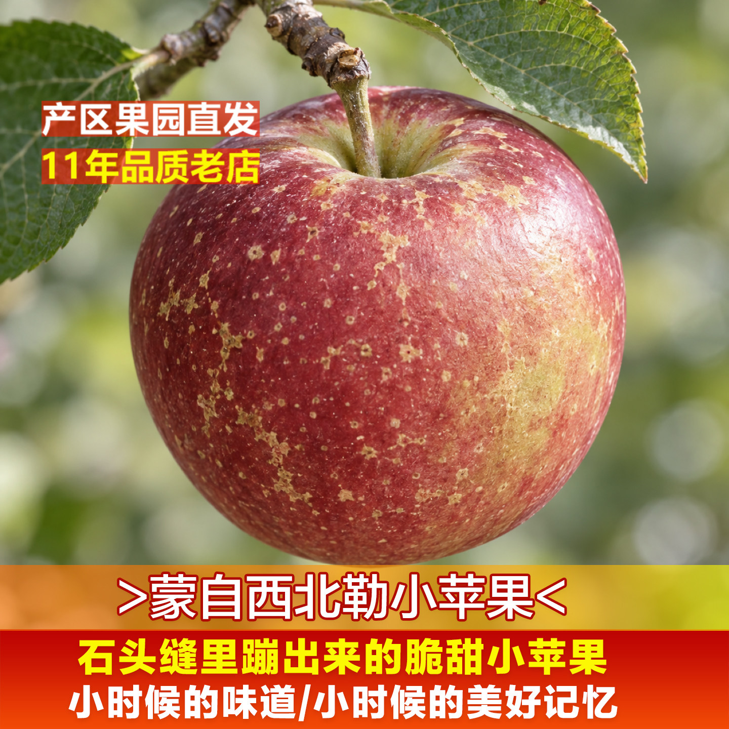 【稀缺果品】云南蒙自西北勒小苹果半野生脆甜冰糖心孕妇小孩水果