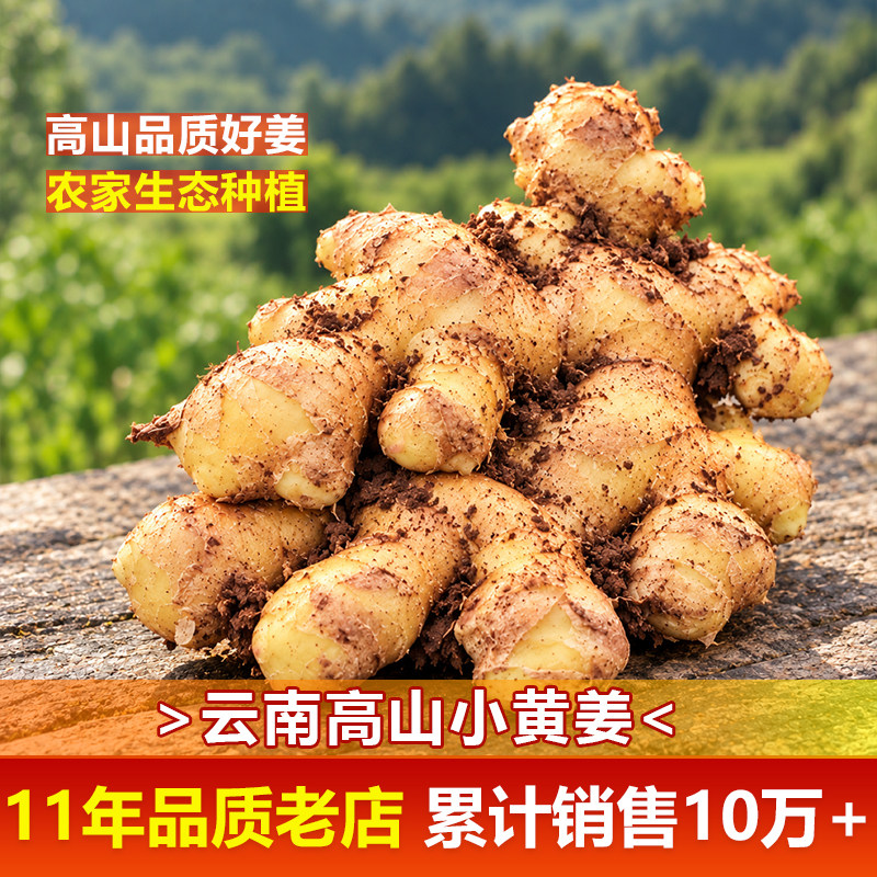 云南小黄姜高山生姜老姜农家土姜