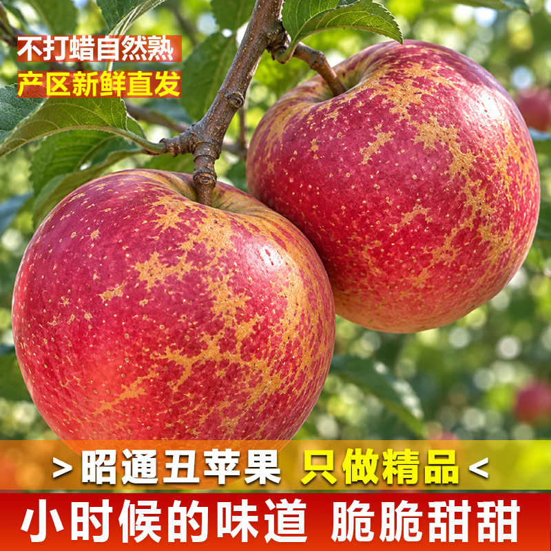 一家做了10多年昭通苹果的老店