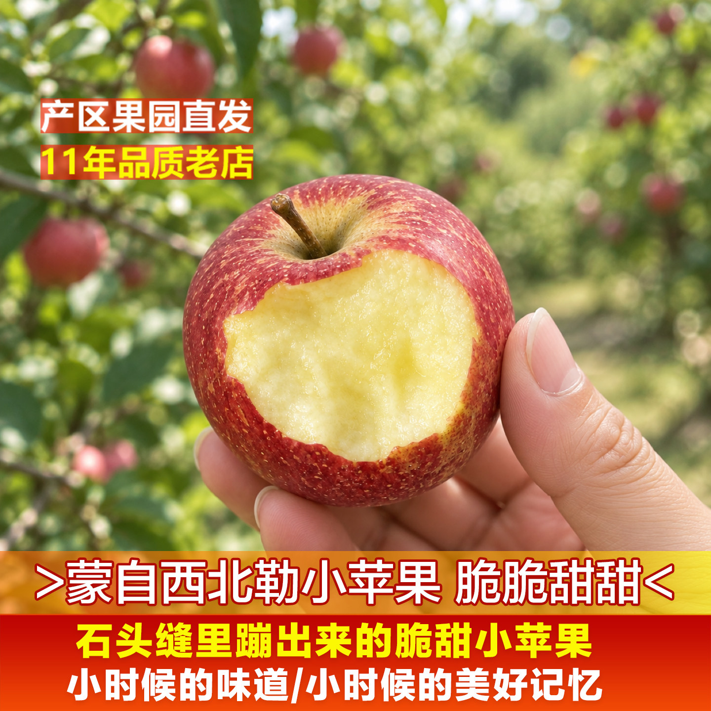 【稀缺果品】云南蒙自西北勒小苹果半野生脆甜冰糖心孕妇小孩水果