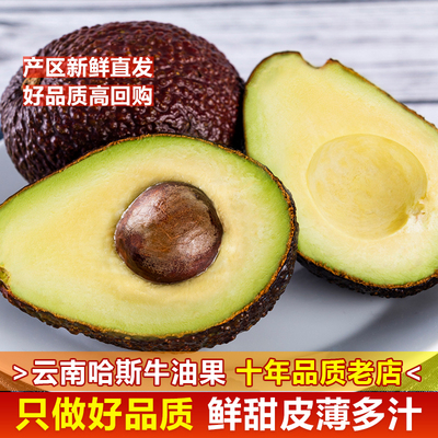 云南新鲜牛油果森林奶油整箱6个