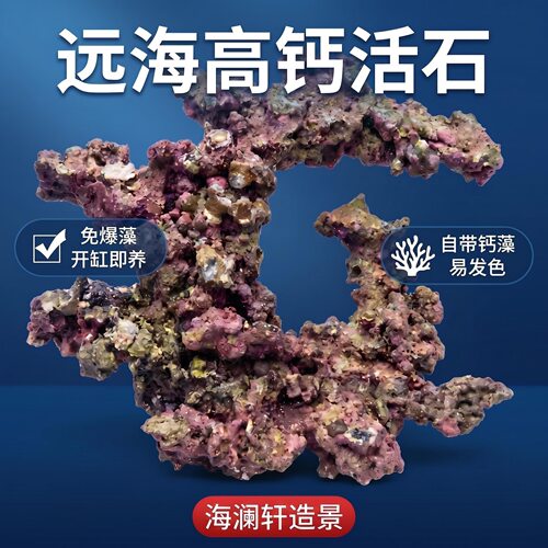 活石海水缸造景珊瑚石天然海石