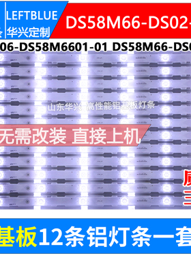 鲁至适用海尔LS58A51 LS58AL88A51 LS58B610N灯条DS58M66-DS02-V0