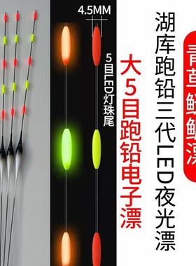 大五目LED硬尾无铅夜光电子漂日夜两用醒目拖钓浮漂黑坑青鱼漂