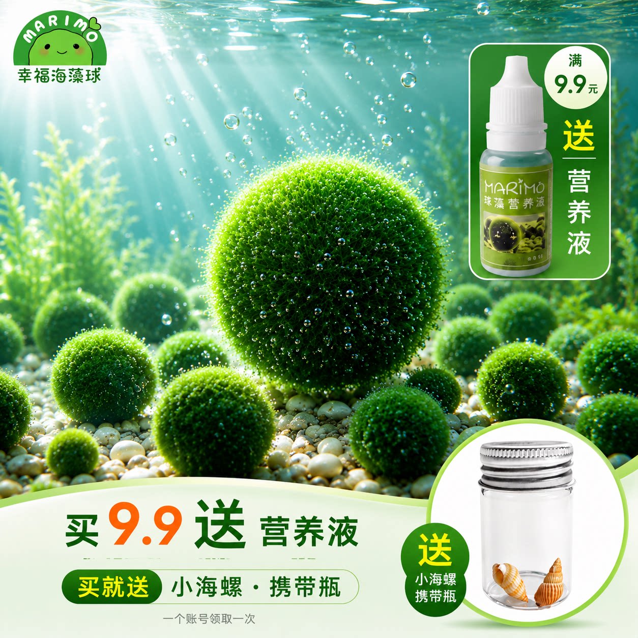 幸福海藻球marimo生态瓶盆栽创意迷你水培植物微景观缸藻球马里莫