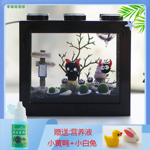 diy幸福海藻球鱼缸微景观生态瓶