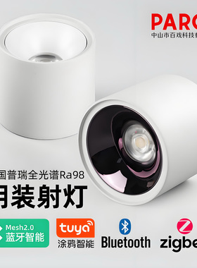 涂鸦zigbee智能调光调色DALI全光谱明装射灯黑色白色天花灯无主灯