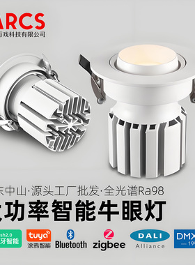 嵌入式大功率牛眼灯涂鸦0-10V可控硅DALI调光调色DMX512智能射灯