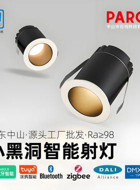 小黑洞嵌入式小射灯可控硅0-10V调光DMX512调色DALI变光智能灯具