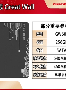 Great Wall/长城GW600全新256G512G固态硬盘2.5寸SSD硬盘