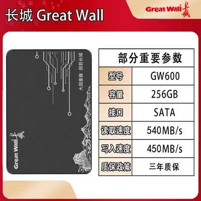 Great Wall/长城GW600全新256G512G固态硬盘2.5寸SSD硬盘