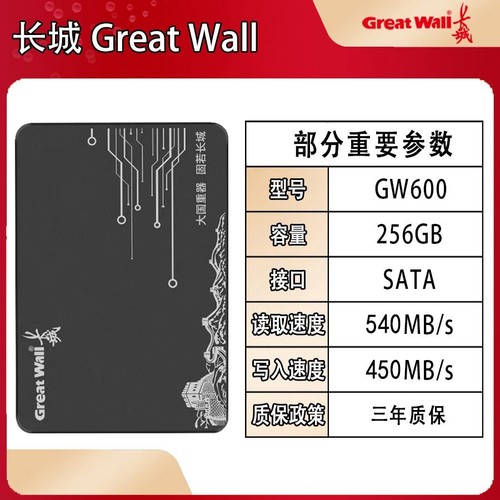 Great Wall/长城GW600全新256G512G固态硬盘2.5寸SSD硬盘