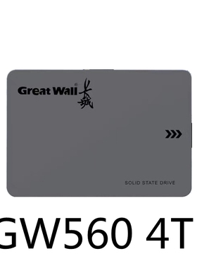 Great Wall/长城GW560全新4T8T固态硬盘2.5寸SSD硬盘