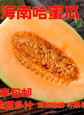 海南哈蜜瓜脆甜多汁香甜爽口
