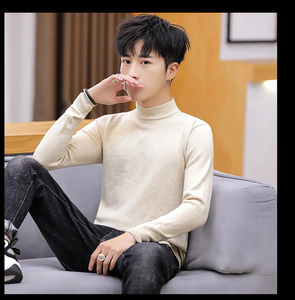 2021秋冬季新款半高领针织衫毛衣男士流行套头4002-M001-P20图片