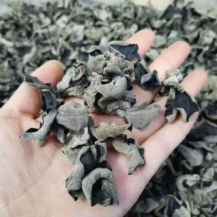 康县黑木耳500g特级野生无根厚肉甘肃陇南特产干货食用菌中秋礼品