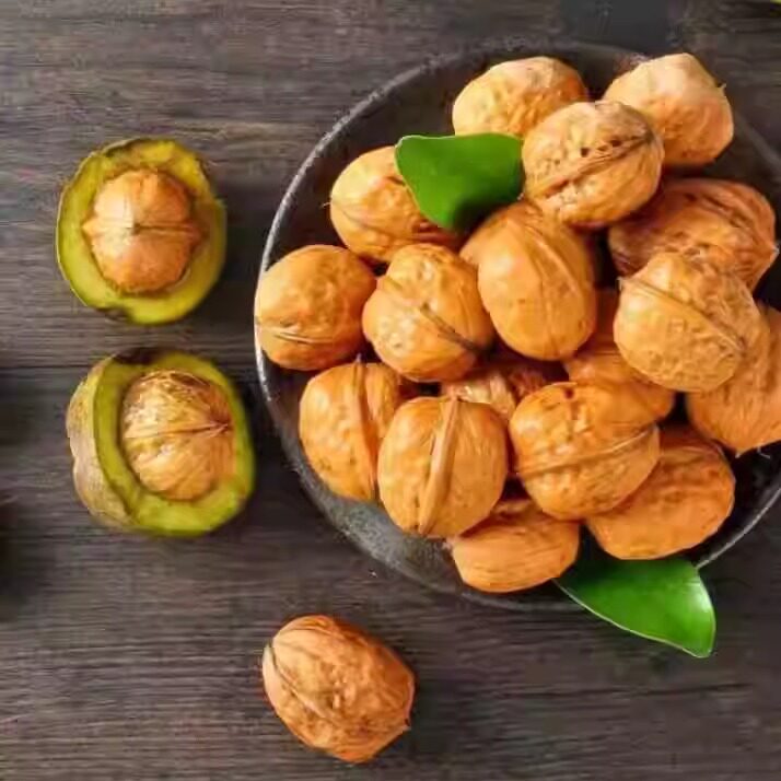 鲜核桃成县核桃坚果零食顺丰包邮